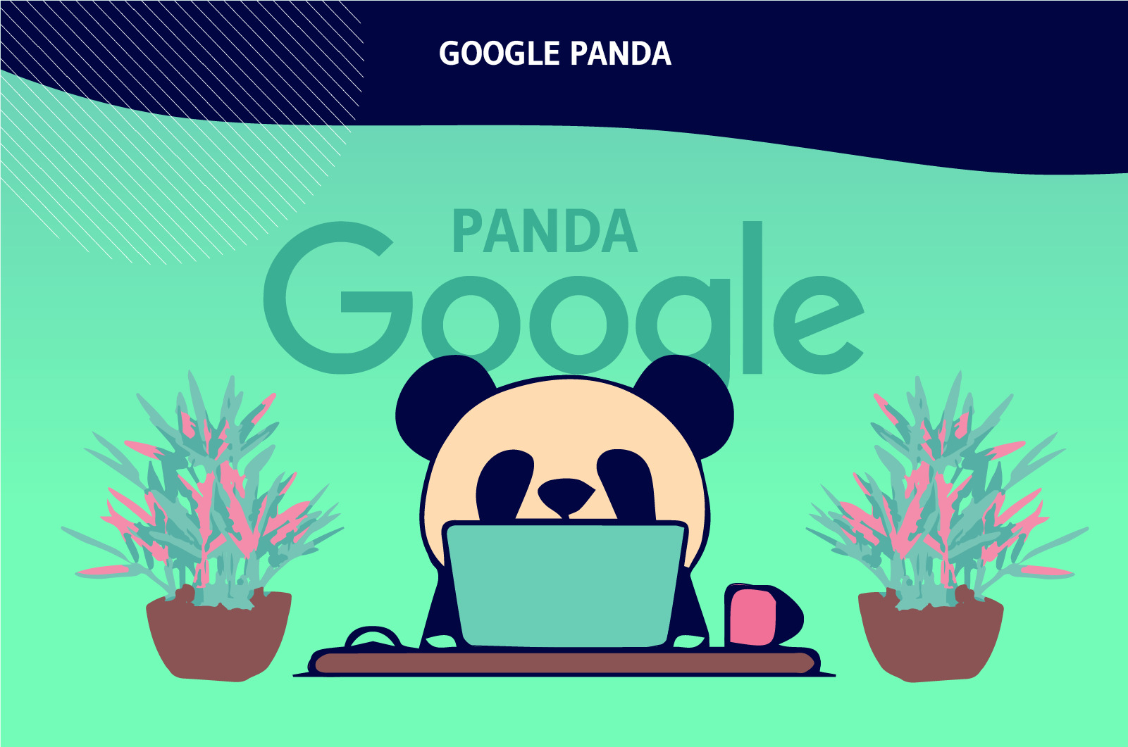 Google Panda là gì