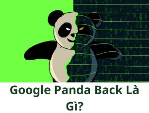 Google Panda Back Là Gì?